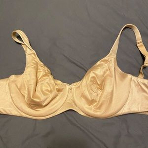 Lane Bryant cacique bra